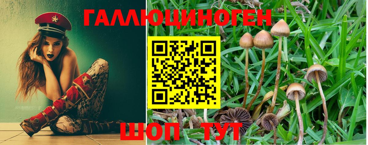 Псилоцибиновые грибы Magic Shrooms Грязи