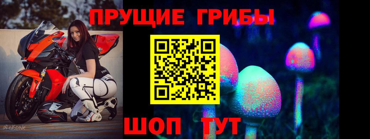 Грязи  Галлюциногенные грибы Psilocybe  Вход с VPN 
